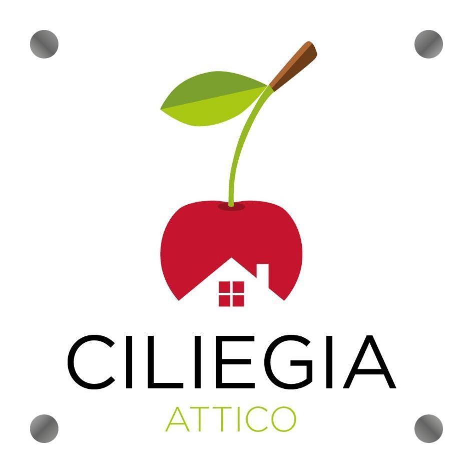 Ciliegia Di Lari - Attico Villa Buitenkant foto