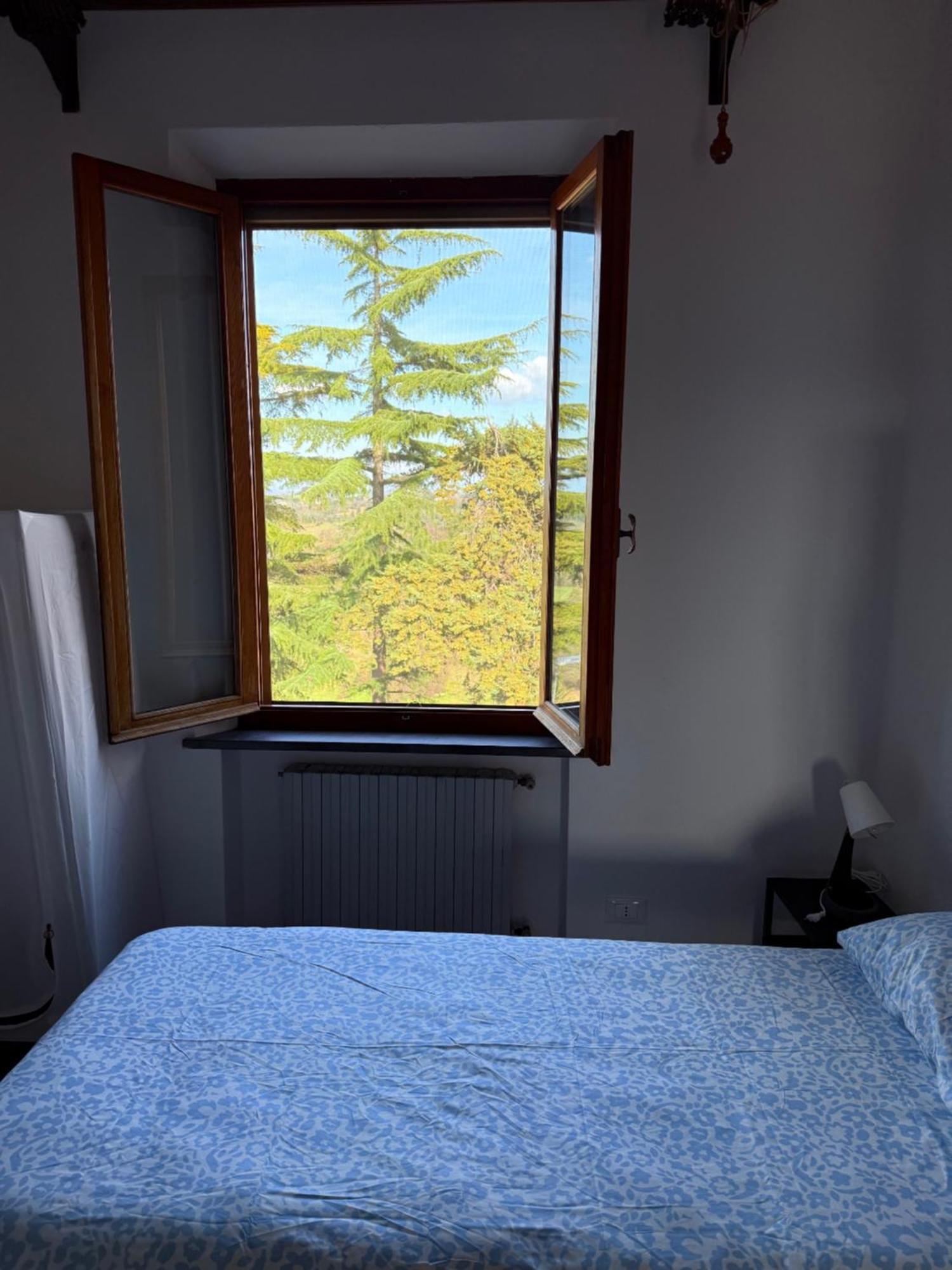 Ciliegia Di Lari - Attico Villa Buitenkant foto