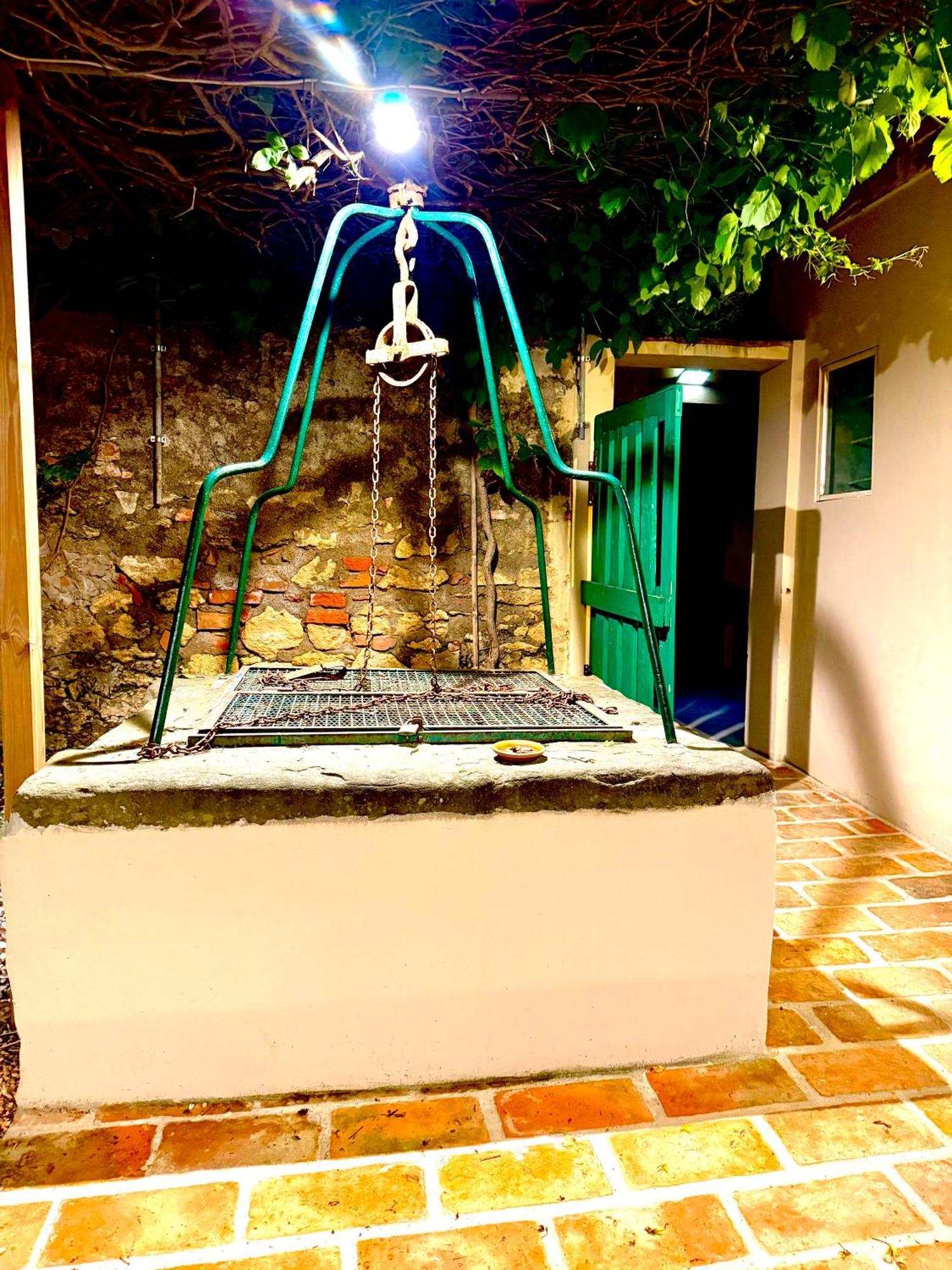 Ciliegia Di Lari - Attico Villa Buitenkant foto